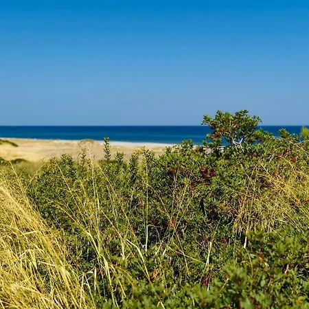 House Almyra Lakhania