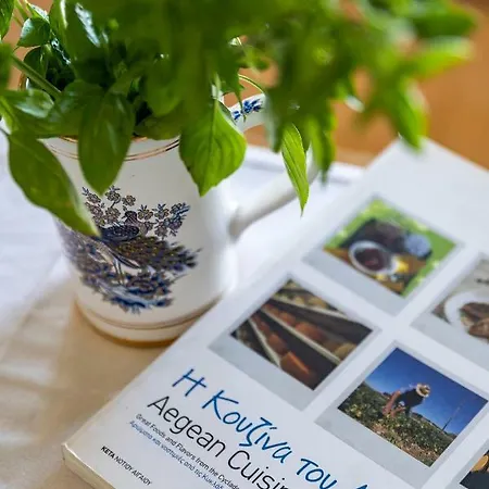 House Almyra Tatil Evi *